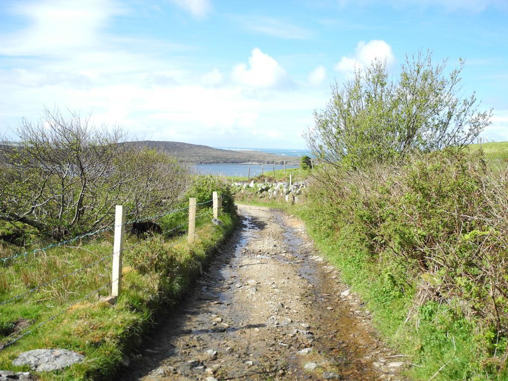 Hillside Lodge B&B Clifden Zewnętrze zdjęcie