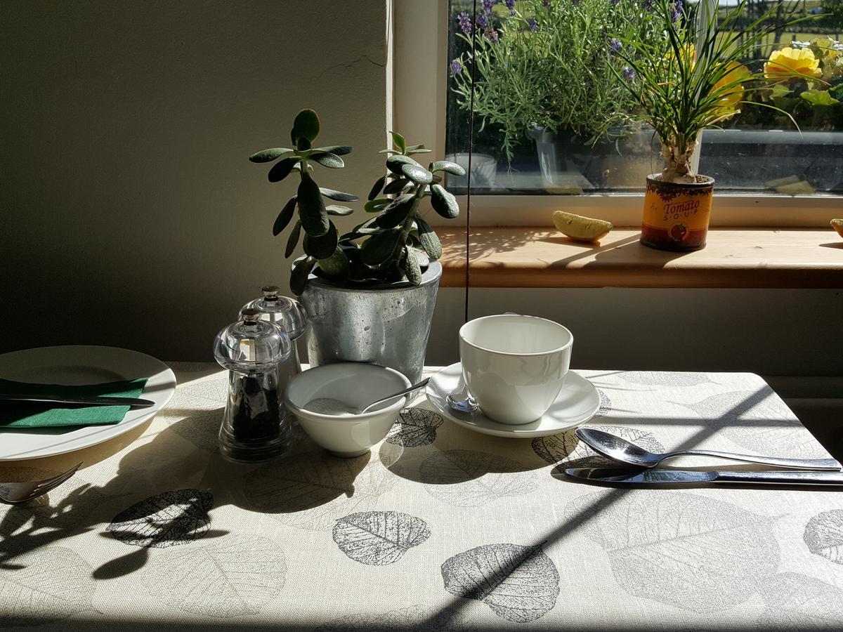 Hillside Lodge B&B Clifden Zewnętrze zdjęcie